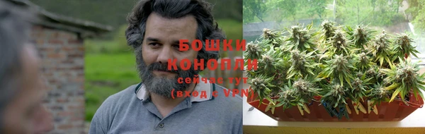 трава Балахна