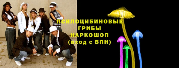 соль ск Балабаново