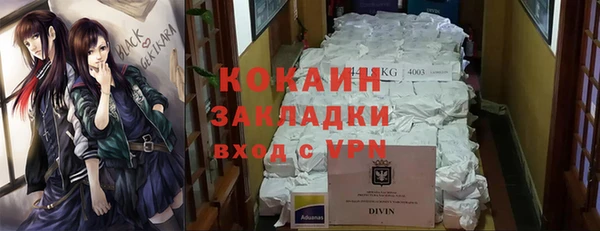 трава Балахна