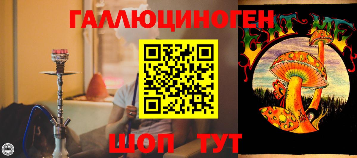 Черняховск  Псилоцибиновые грибы Psilocybe  Вход с VPN 
