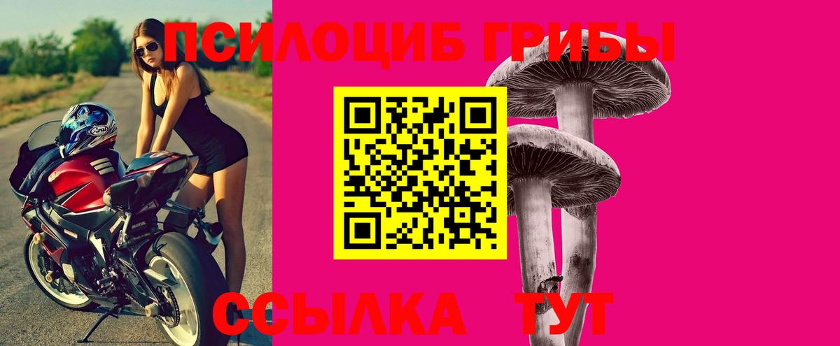 Галлюциногенные грибы прущие грибы Черняховск